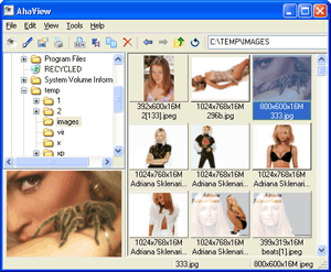 Screenshot of AhaView 3.15