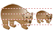Bear icon Bear icons