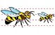 Bee icon Bee icons