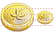 Münze Icon