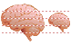 Brain icon