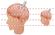 Brain probe icons