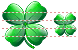 Four-leafed clover icon