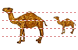 Camello Icon