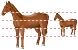 Horse icons